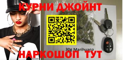 шишки Коммунар