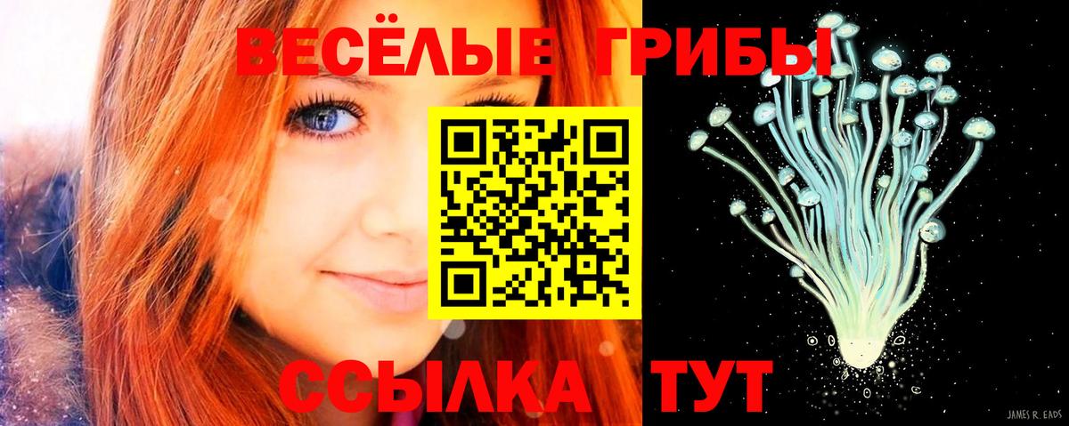 Галлюциногенные грибы Psilocybine cubensis  Псилоцибиновые грибы прущие грибы  Вход с VPN  Когалым 